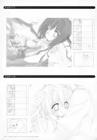 Bra-Ban Visual Fanbook