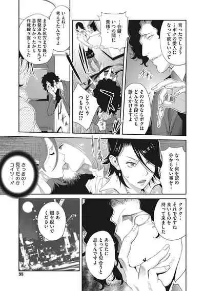 Nyuugyaku no Rudbeckia