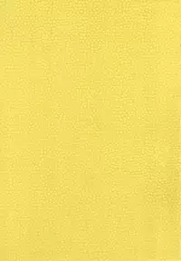 (C91) [Studio Tar (Kyouichirou)] Imouto to Hamete Dousunda (Watashi ga Motete Dousunda)