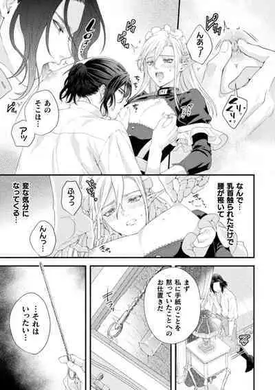 Shuujin wa Hiroware Elf o Midareotoshitai