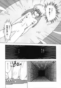 [Ohnuma Hiroshi] FLYING APPLE