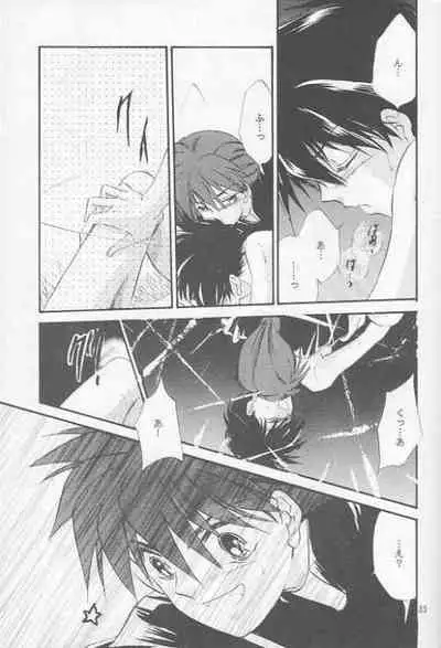 [Passport Shinsengumi (Matsumoto Yuuka)] HALF & HALF (Gundam Wing)