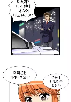 Chauffeur Service Ch.1-30.5