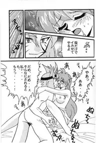 [Ginmomodou (Mita Satomi)] Slayers Adult 8 (Slayers)