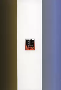 (C80) [Kamoro-Sa-Z (Oobanburumai, Migiyori)] DRAGON & ROSE (TIGER & BUNNY)