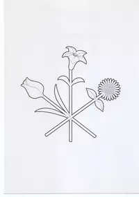 [studio nama] TEN TOR