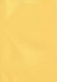 (CR15) [LUCK＆PLUCK! (Amanomiya Haruka)] JUNGLE SWING (Oh My Goddess!)