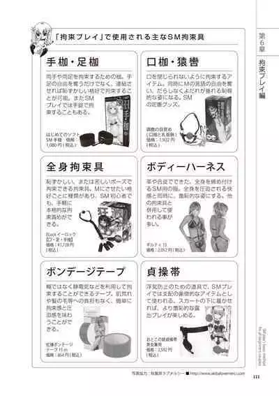 いますぐデキる 図説SMプレイマニュアル