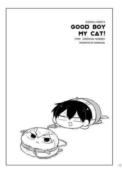 GOOD BOY MY CAT!