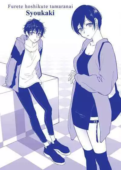 [消火器] ふれてほしくて たまらない 未来數位、eve個人拼接版 無修正 DL版