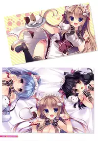 [Yukie] MOEOH Selection Flower Flower Yukie Gashuu