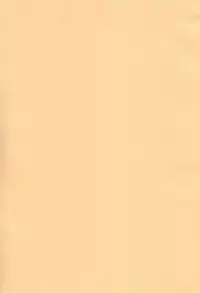 [SEM;COLON (Mitsu King)] Chicken Maid Party (Mayo Chiki!) [English] [desudesu]