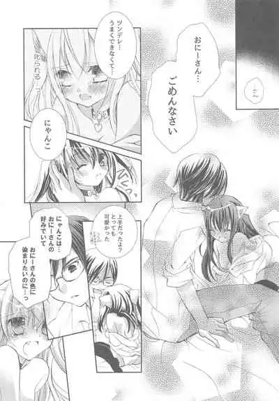 Onii-san to Nyanko Soushuuhen