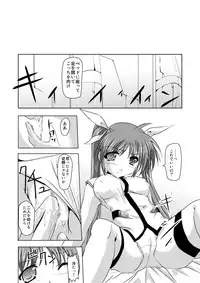 (C75) [TRICKorTREAT (Kagura Tsukune)] InSulT III (Mahou Shoujo Lyrical Nanoha)