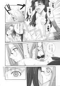 (C69) [Take Out (Zeros)] vain dream (Fate/stay night)