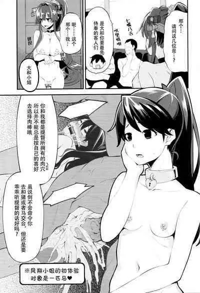 Onaho Yamato Oshite Mairimasu