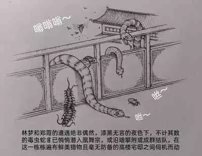 [Pixiv] Little nv`xia(2)