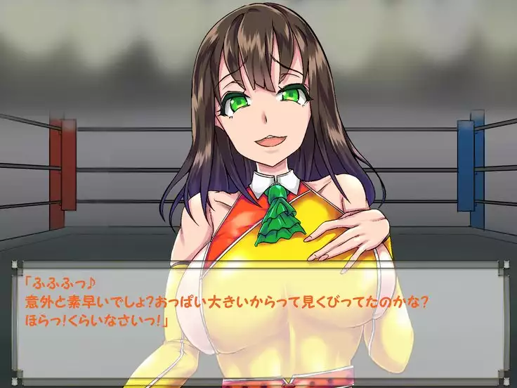 ドMプロレス2 画像集