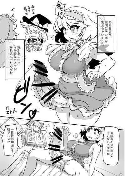 Touhou Futanari Uke Goudou-shi