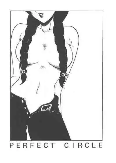 PERFECT CIRCLE