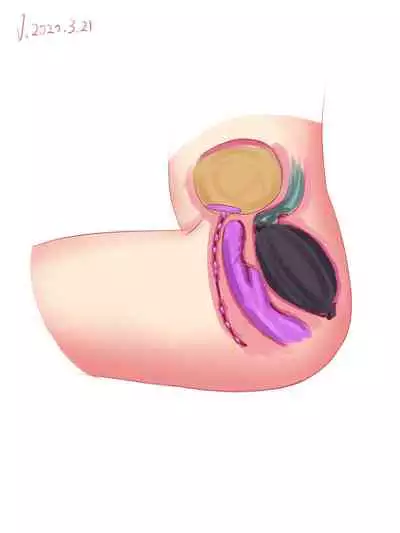 [Pixiv] VV__SXX 58170013