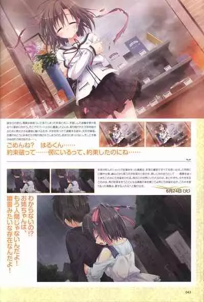 Hare Nochi Kitto Nanohana Biyori Visual Fanbook