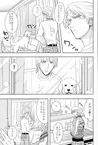 (TIGER&BISON Futari wa Best Friends) [Kitei (Naoki)] Fusion Eye Play (TIGER & BUNNY)