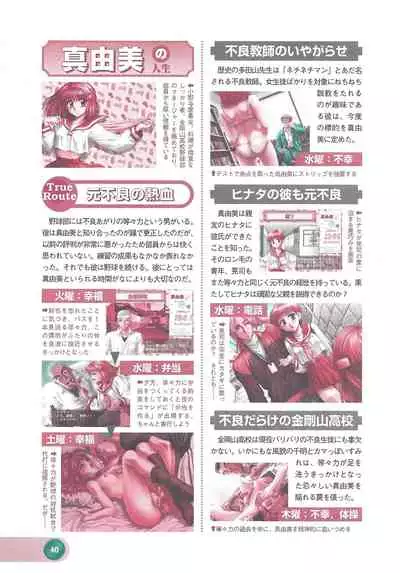 Official Alicesoft Full Completion Guide 2