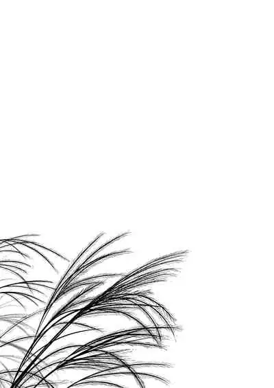 Hikari no Kimi no Saganaki Keikaku <Nokiba no Ogi>