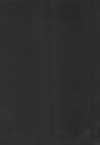 [Ninomiya Ryouzou] Junketsu Maniac Seijo