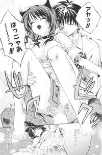 COMIC Potpourri Club 2006-08