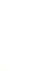 (C50) [PHOENIX PROJECT (Yuugeki Makoto)] SHIN Momoiro Jidai (Mizuiro Jidai)