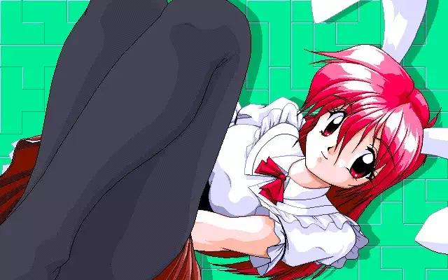 Sailor Bunny Gashuu Sono Ichi