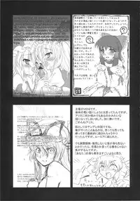 (C77) [Reborn (Various)] Ijou Keiken +2 (Touhou Project)