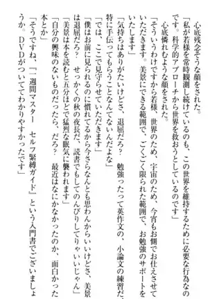 年上メイドの新婚日記