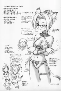 (C68) [Jack-O'-lantern (Ebifly, Neriwasabi)] Neko Panchu (Final Fantasy XI)