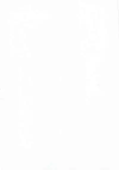 Heaven Lepus3 Side:Syaro