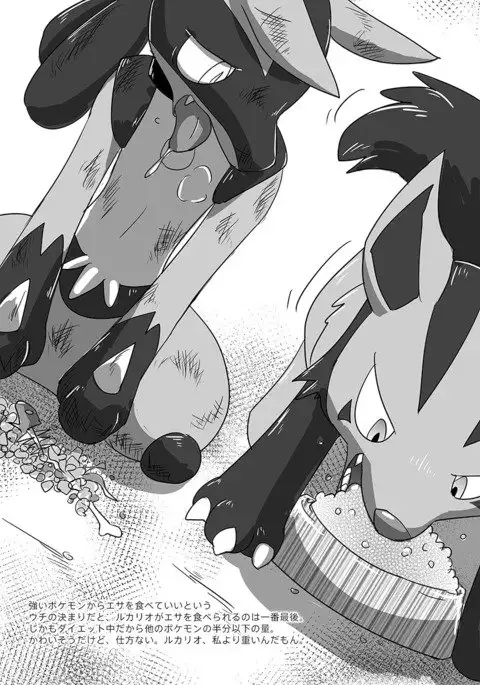 Lucario Training Book「How to Train Your~」