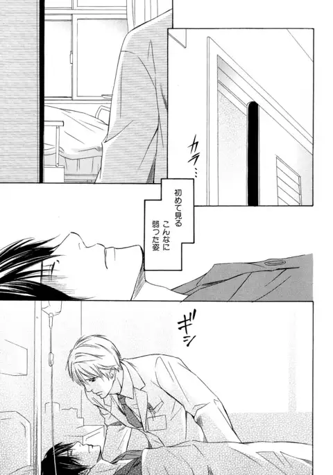 b-BOY Phoenix Vol.11 Shiroisha Tokushuu