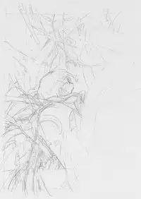 [Huge Orbit Fortress Strikes] Tablet Graphic Collection