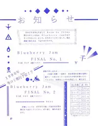 (C37) [Room No.201 (H・YOU)] BLUEBERRY JAM FINAL No.1 (Princess Sarah)