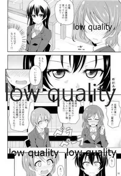 Watashi dake no Ohime-sama