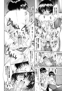 [Nikusyo] Sweet Honey