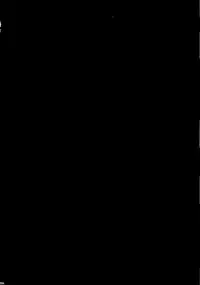 (C90) [Yokohama Junky (Makari Tohru)] Solo Hunter-tachi no Seitai (Monster Hunter)