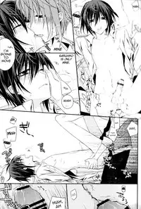 (C84) [Kokuyouchou (Kagari Touya)] Ephemeral Field no Shounen-tachi (K) [English] [marise]