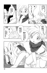 (Shotaket 10) [Tokuda (Ueda Yuu)] Hoshifuru Seisui (Dragon Quest V)
