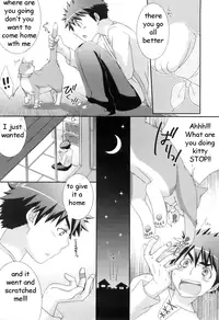 Cat Scratch Fever [English] [Rewrite] [EZ Rewriter]