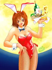 [Studio Proteus (Hiroyuki Utatane)] Countdown Sex Bombs Special (English)