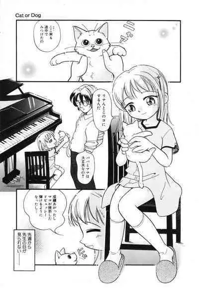 Hare Tokidoki Nurenezumi