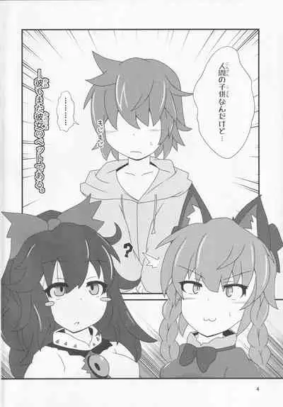 (Reitaisai 16) [Kokage no Shippo (Kokage)] Pet no Pet (Touhou Project)